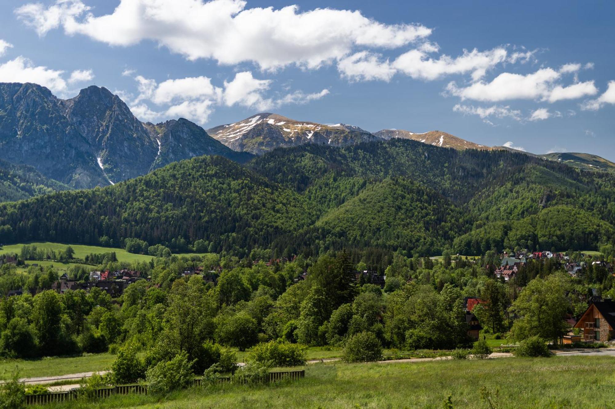 Ijg Imperial Apartamenty Szymaszkowa Zakopane Eksteriør billede